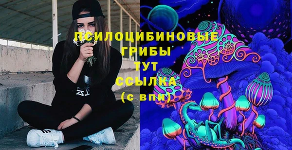 прущие грибы Дмитровск