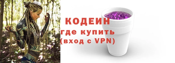 прущие грибы Дмитровск