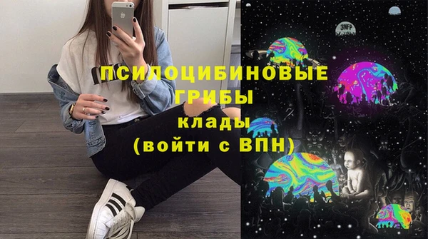 кристаллы Дмитриев