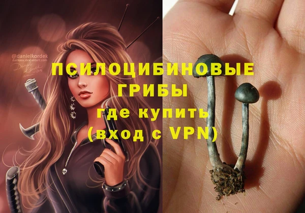 прущие грибы Дмитровск