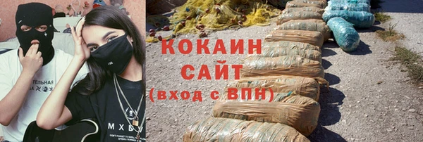 прущие грибы Дмитровск