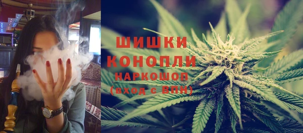 прущие грибы Дмитровск