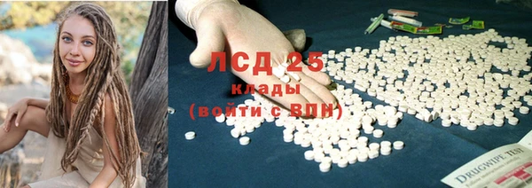 прущие грибы Дмитровск