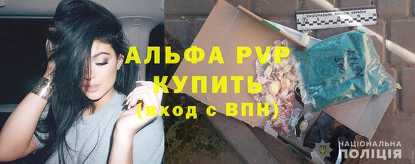 прущие грибы Дмитровск