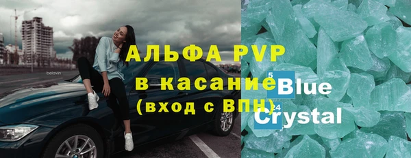 прущие грибы Дмитровск